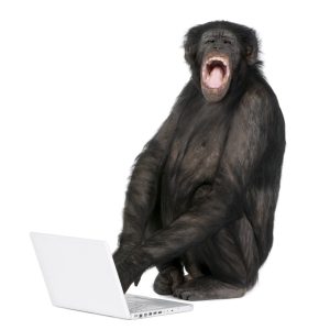 Monkey playing with a laptop