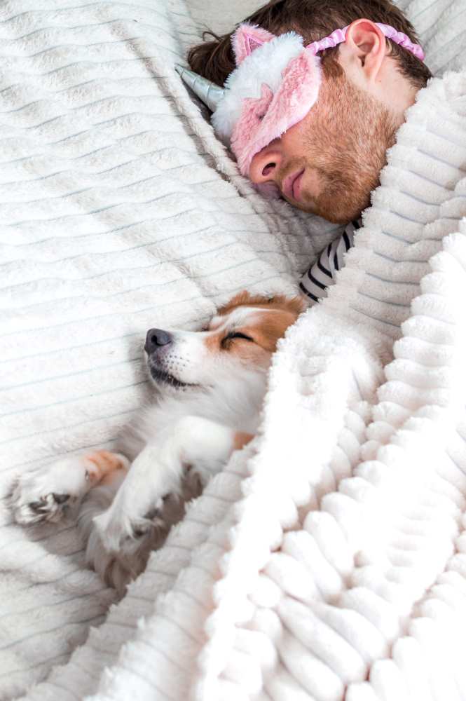 Man Sleeping next to a sleeping dog under a blanket
