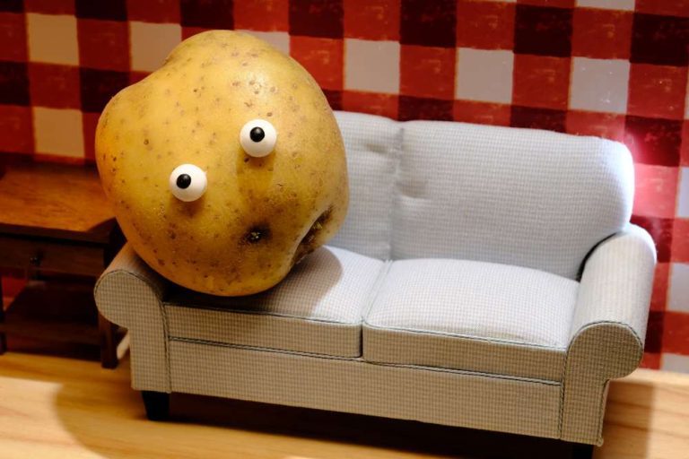 Potato with eyes sitting on a sofa with a tartan wallpaper background